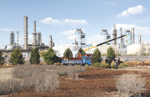 毛豆娱乐棋牌游戏界面